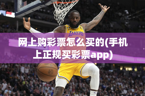 网上购彩票怎么买的(手机上正规买彩票app)