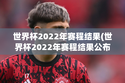 世界杯2022年赛程结果(世界杯2022年赛程结果公布)