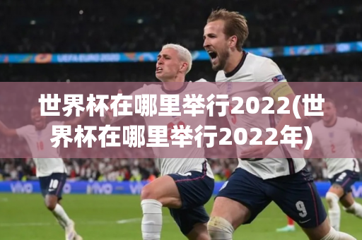 世界杯在哪里举行2022(世界杯在哪里举行2022年)