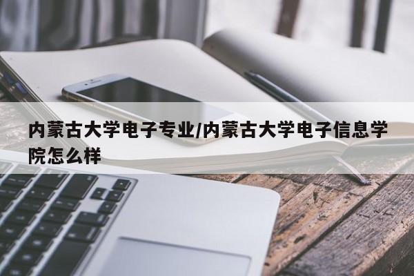 内蒙古大学电子专业／内蒙古大学电子信息学院怎么样